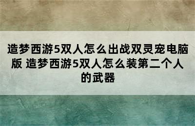 造梦西游5双人怎么出战双灵宠电脑版 造梦西游5双人怎么装第二个人的武器